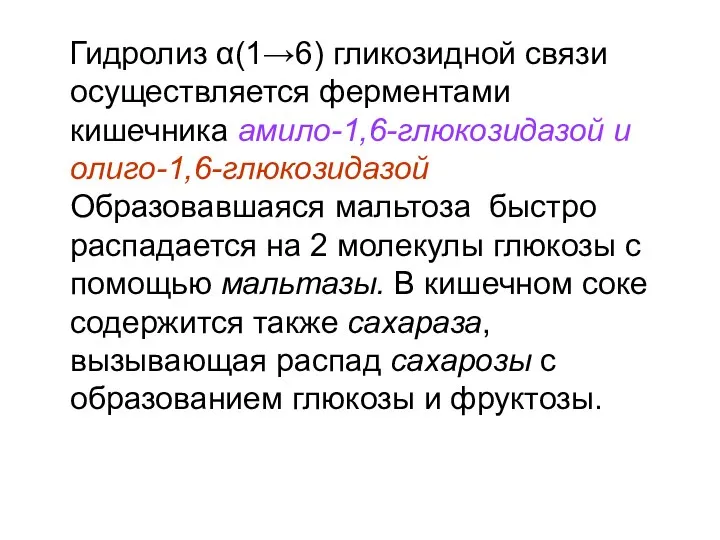 Гидролиз α(1→6) гликозидной связи осуществляется ферментами кишечника амило-1,6-глюкозидазой и олиго-1,6-глюкозидазой Образовавшаяся