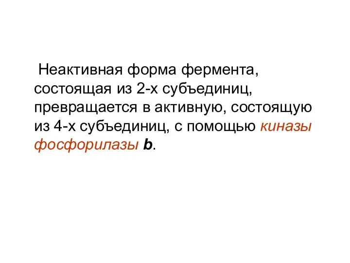 Неактивная форма фермента, состоящая из 2-х субъединиц, превращается в активную, состоящую