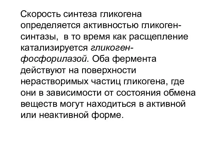 Скорость синтеза гликогена определяется активностью гликоген-синтазы, в то время как расщепление