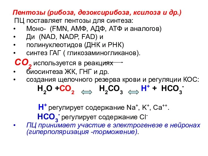 Пентозы (рибоза, дезоксирибоза, ксилоза и др.) ПЦ поставляет пентозы для синтеза: