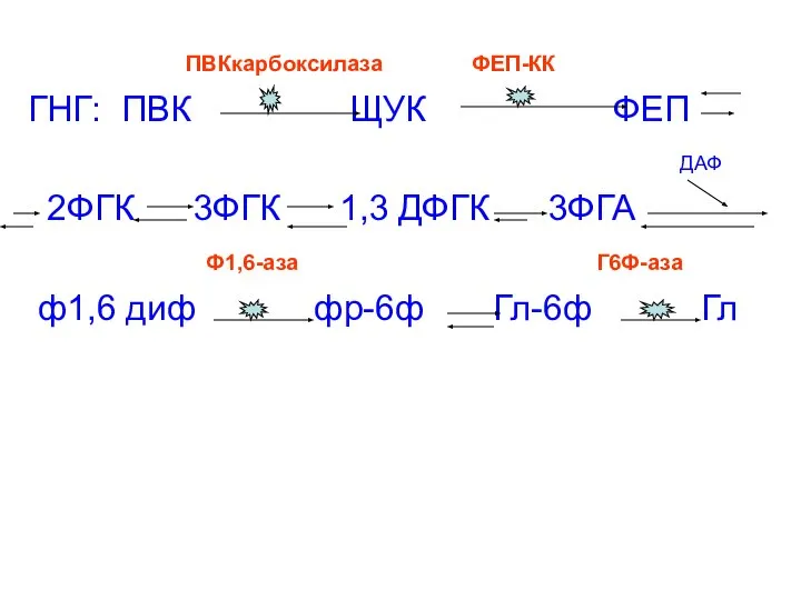 ПВКкарбоксилаза ФЕП-КК ГНГ: ПВК ЩУК ФЕП ДАФ 2ФГК 3ФГК 1,3 ДФГК