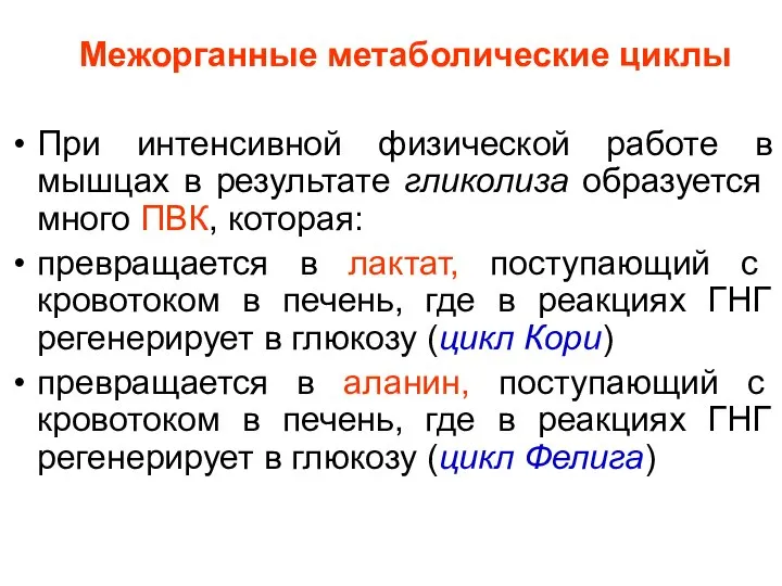 Межорганные метаболические циклы При интенсивной физической работе в мышцах в результате