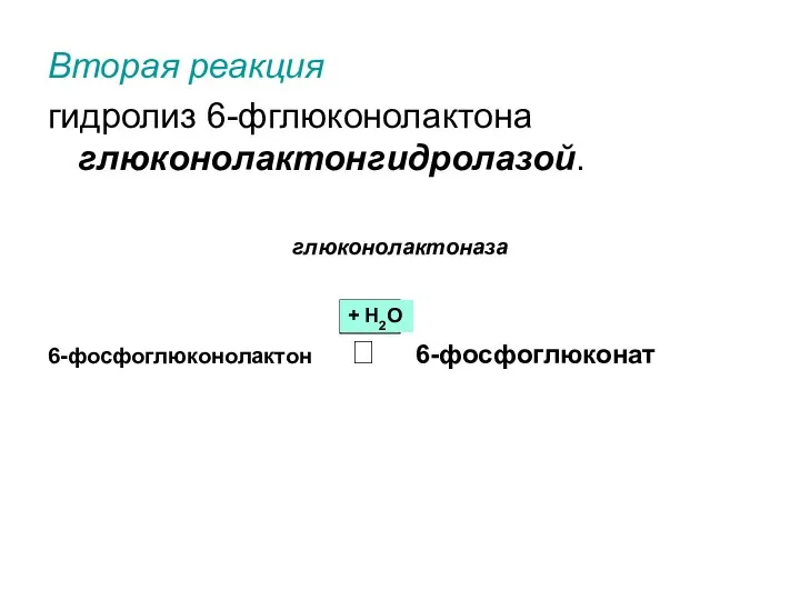 Вторая реакция гидролиз 6-фглюконолактона глюконолактонгидролазой. глюконолактоназа 6-фосфоглюконолактон ? 6-фосфоглюконат + Н2О