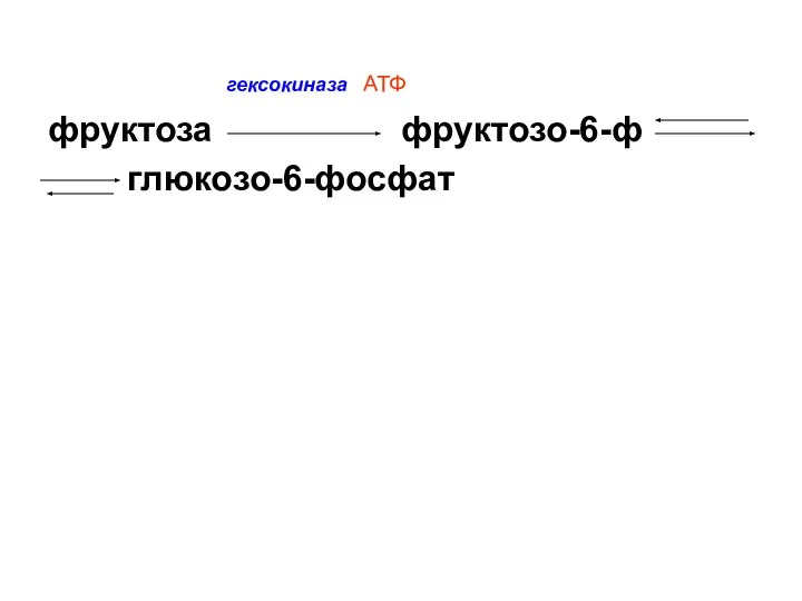 гексокиназа АТФ фруктоза фруктозо-6-ф глюкозо-6-фосфат