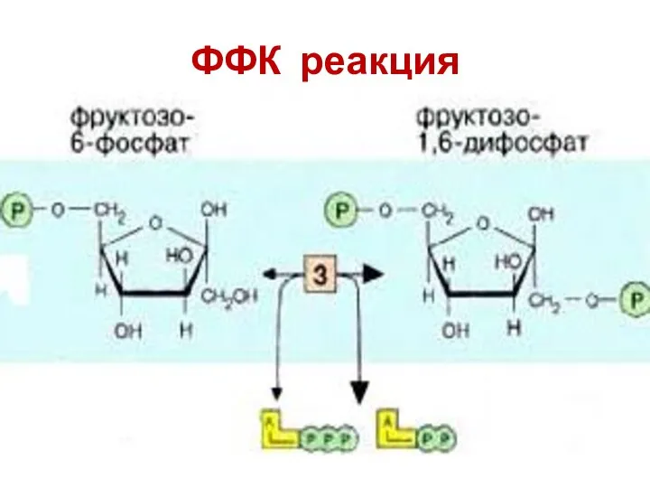 ФФК реакция