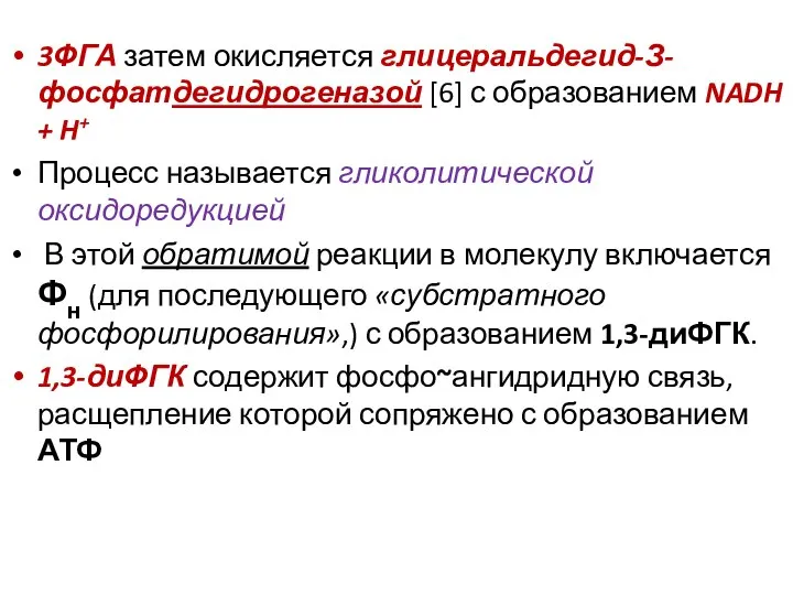 3ФГА затем окисляется глицеральдегид-З-фосфатдегидрогеназой [6] с образованием NADH + H+ Процесс