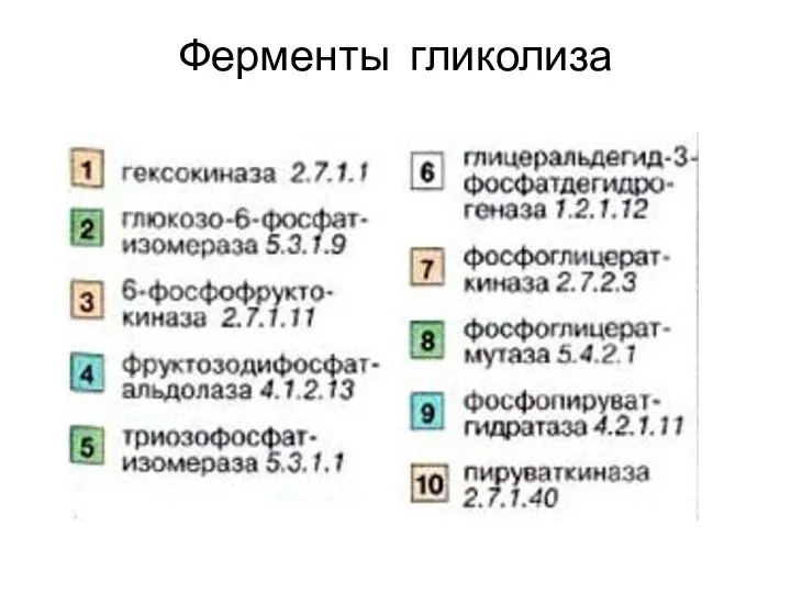 Ферменты гликолиза