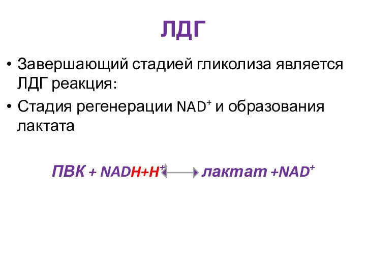 ЛДГ Завершающий стадией гликолиза является ЛДГ реакция: Стадия регенерации NAD+ и