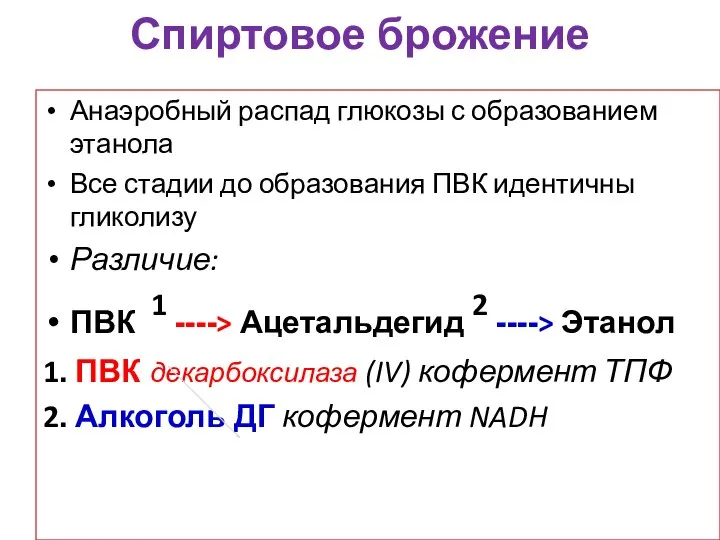 Спиртовое брожение Анаэробный распад глюкозы с образованием этанола Все стадии до