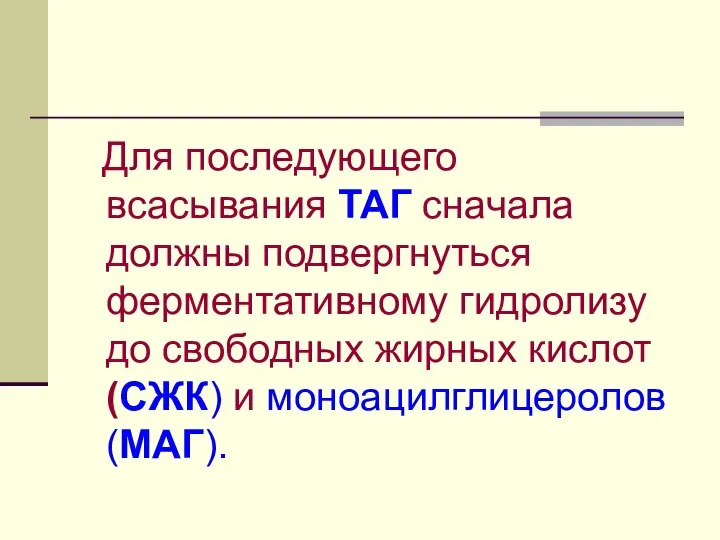 Для последующего всасывания ТАГ сначала должны подвергнуться ферментативному гидролизу до свободных