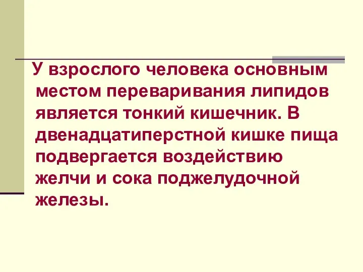 У взрослого человека основным местом переваривания липидов является тонкий кишечник. В