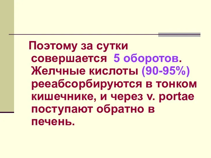 Поэтому за сутки совершается 5 оборотов. Желчные кислоты (90-95%) рееабсорбируются в