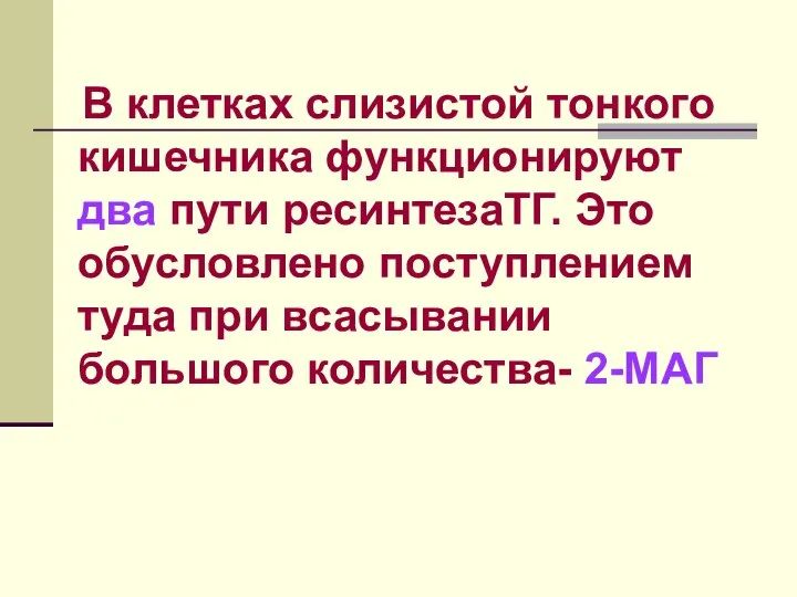 В клетках слизистой тонкого кишечника функционируют два пути ресинтезаТГ. Это обусловлено