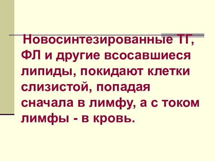 Новосинтезированные ТГ, ФЛ и другие всосавшиеся липиды, покидают клетки слизистой, попадая