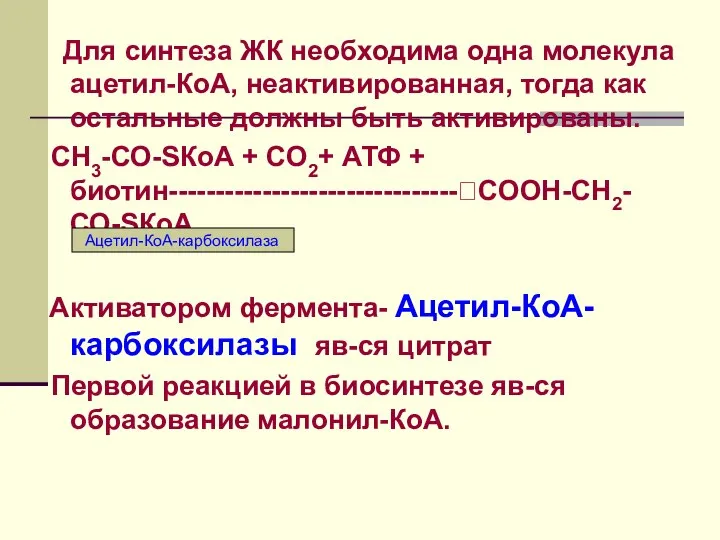 Для синтеза ЖК необходима одна молекула ацетил-КоА, неактивированная, тогда как остальные