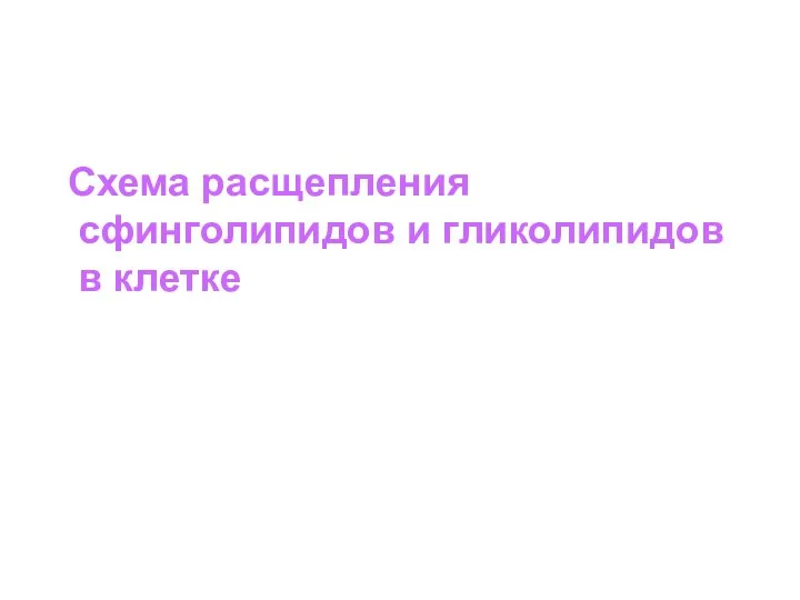 Схема расщепления сфинголипидов и гликолипидов в клетке