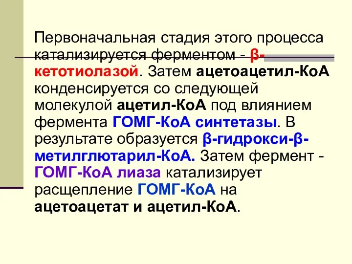 Первоначальная стадия этого процесса катализируется ферментом - β-кетотиолазой. Затем ацетоацетил-КоА конденсируется