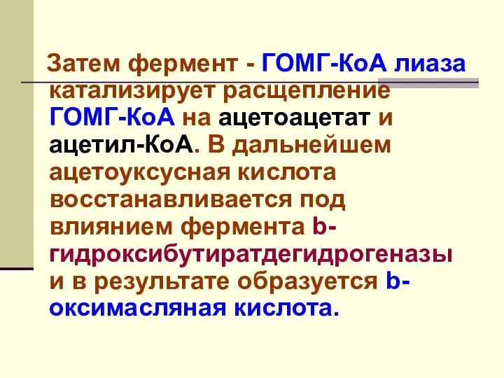 Затем фермент - ГОМГ-КоА лиаза катализирует расщепление ГОМГ-КоА на ацетоацетат и