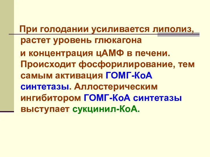 При голодании усиливается липолиз, растет уровень глюкагона и концентрация цАМФ в