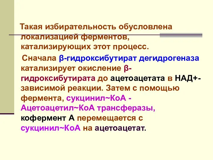 Такая избирательность обусловлена локализацией ферментов, катализирующих этот процесс. Сначала β-гидроксибутират дегидрогеназа