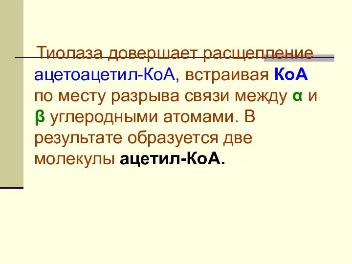 Тиолаза довершает расщепление ацетоацетил-КоА, встраивая КоА по месту разрыва связи между