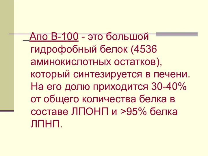 Апо В-100 - это большой гидрофобный белок (4536 аминокислотных остатков), который