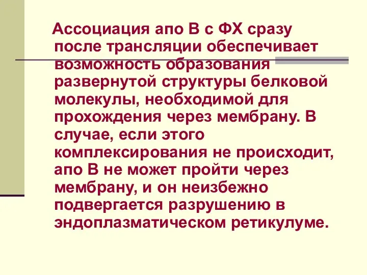 Ассоциация апо В с ФХ сразу после трансляции обеспечивает возможность образования