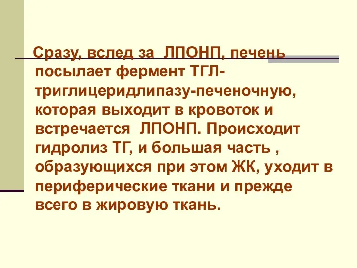 Сразу, вслед за ЛПОНП, печень посылает фермент ТГЛ- триглицеридлипазу-печеночную, которая выходит