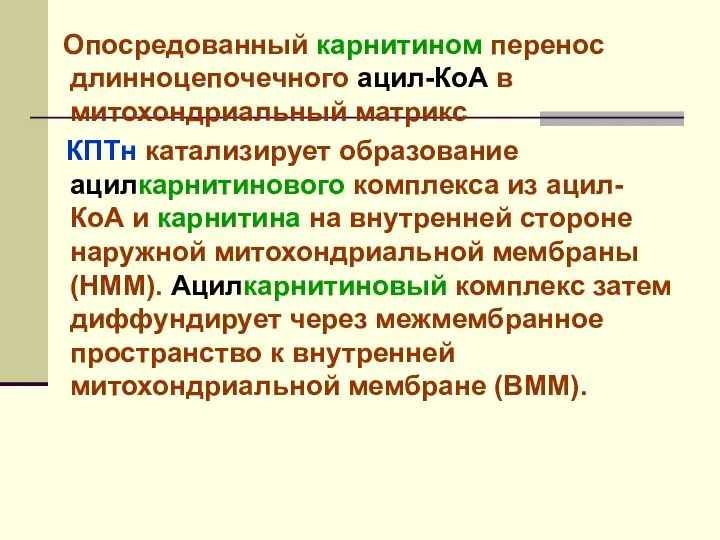 Опосредованный карнитином перенос длинноцепочечного ацил-КоА в митохондриальный матрикс КПТн катализирует образование