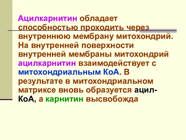 Ацилкарнитин обладает способностью проходить через внутреннюю мембрану митохондрий. На внутренней поверхности