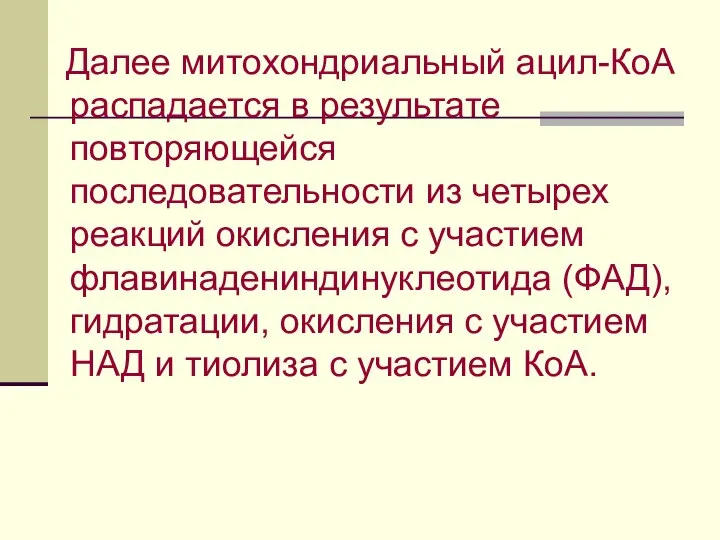 Далее митохондриальный ацил-КоА распадается в результате повторяющейся последовательности из четырех реакций