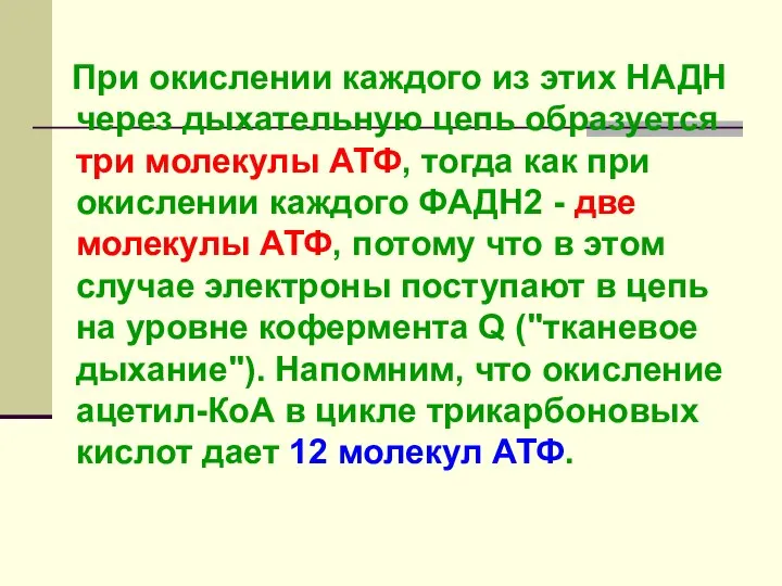 При окислении каждого из этих НАДН через дыхательную цепь образуется три