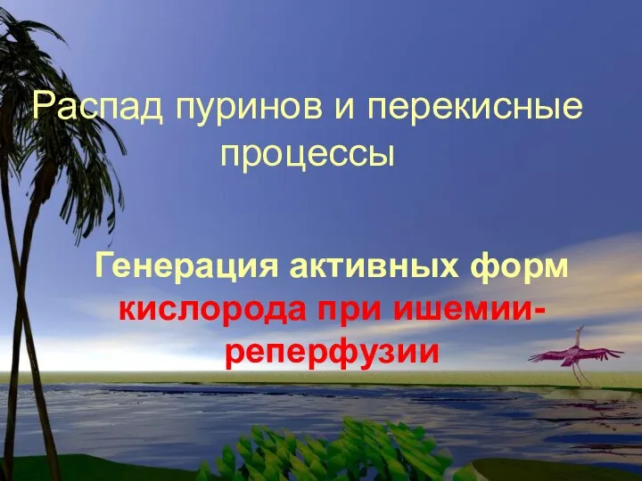 Распад пуринов и перекисные процессы Генерация активных форм кислорода при ишемии-реперфузии