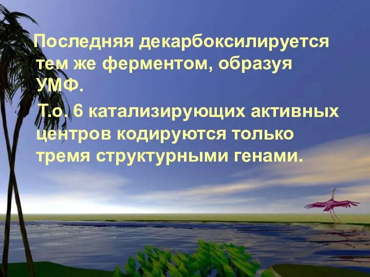 Последняя декарбоксилируется тем же ферментом, образуя УМФ. Т.о. 6 катализирующих активных