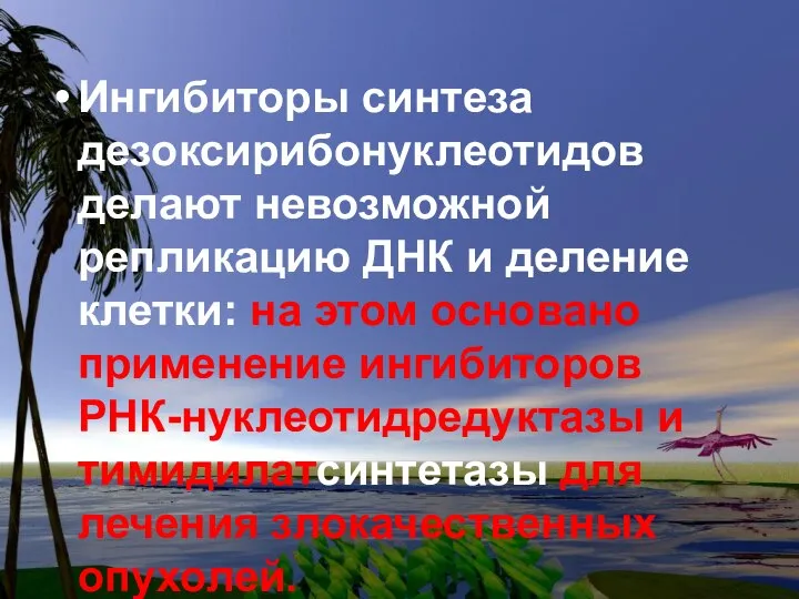 Ингибиторы синтеза дезоксирибонуклеотидов делают невозможной репликацию ДНК и деление клетки: на