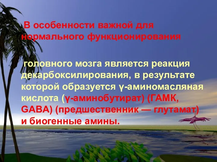 В особенности важной для нормального функционирования головного мозга является реакция декарбоксилирования,