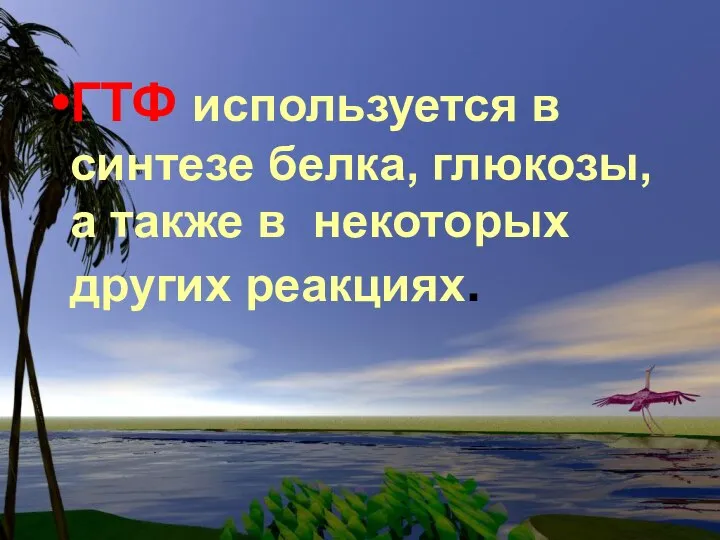 ГТФ используется в синтезе белка, глюкозы, а также в некоторых других реакциях.