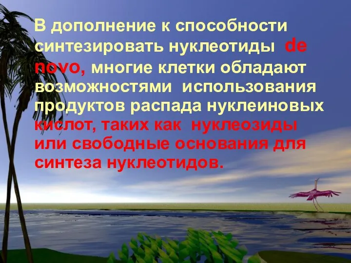 В дополнение к способности синтезировать нуклеотиды de novo, многие клетки обладают