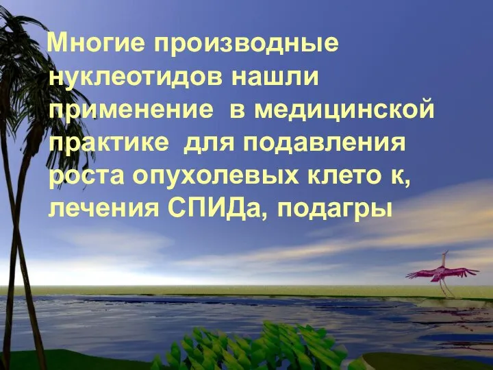 Многие производные нуклеотидов нашли применение в медицинской практике для подавления роста