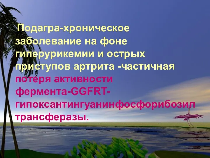 Подагра-хроническое заболевание на фоне гиперурикемии и острых приступов артрита -частичная потеря активности фермента-GGFRT-гипоксантингуанинфосфорибозилтрансферазы.