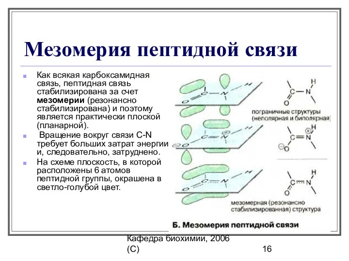 Кафедра биохимии, 2006 (C) Мезомерия пептидной связи Как всякая карбоксамидная связь,