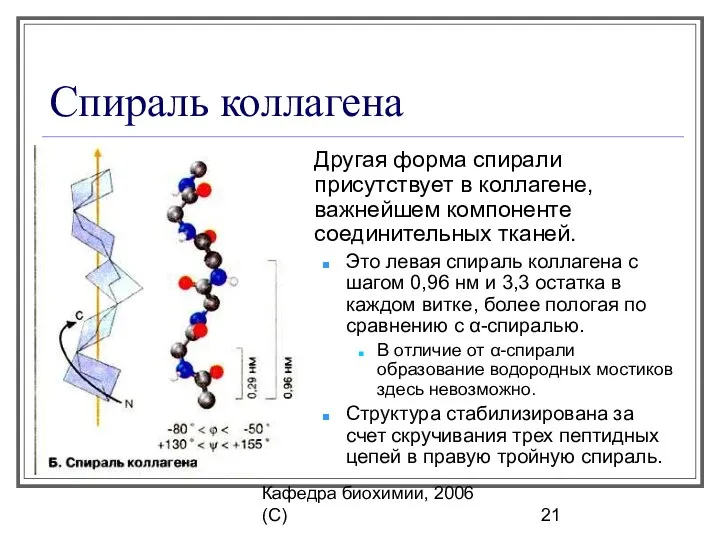 Кафедра биохимии, 2006 (C) Спираль коллагена Другая форма спирали присутствует в