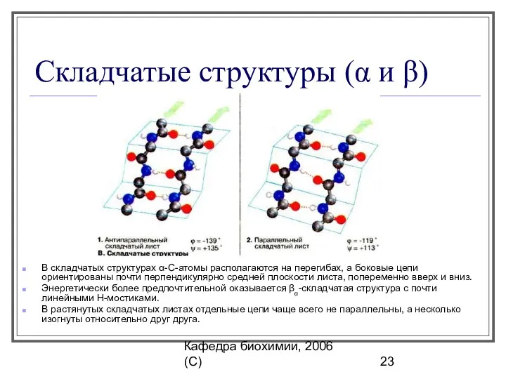 Кафедра биохимии, 2006 (C) Складчатые структуры (α и β) В складчатых