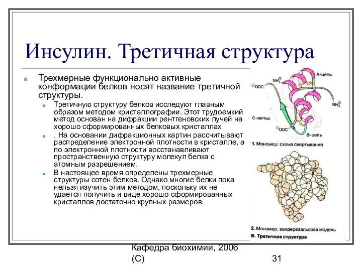 Кафедра биохимии, 2006 (C) Инсулин. Третичная структура Трехмерные функционально активные конформации