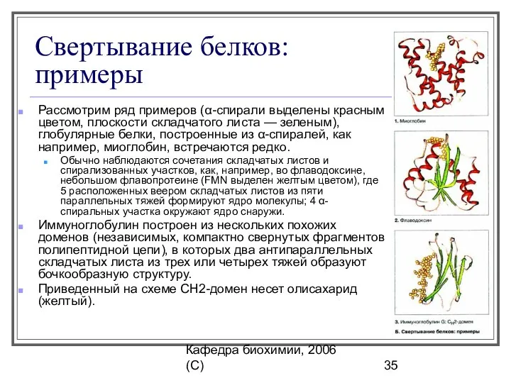 Кафедра биохимии, 2006 (C) Свертывание белков: примеры Рассмотрим ряд примеров (α-спирали