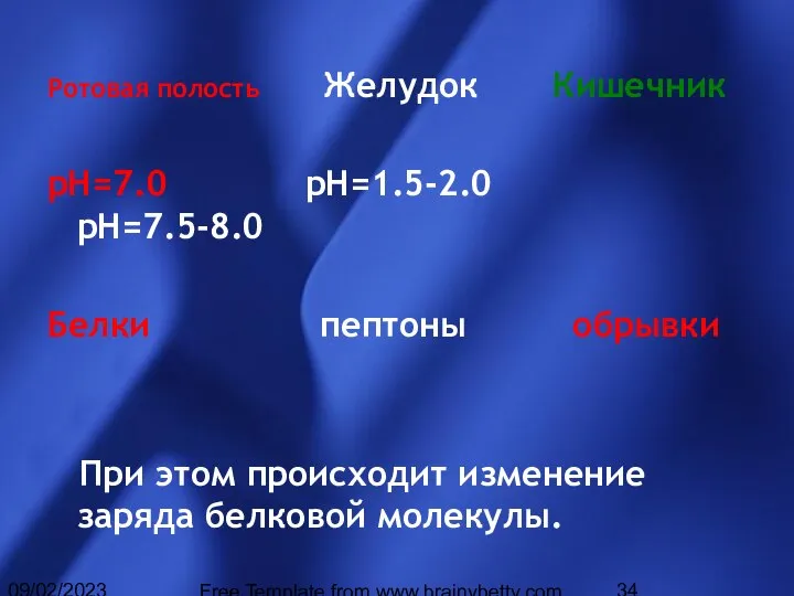 09/02/2023 Free Template from www.brainybetty.com Ротовая полость Желудок Кишечник рН=7.0 рН=1.5-2.0