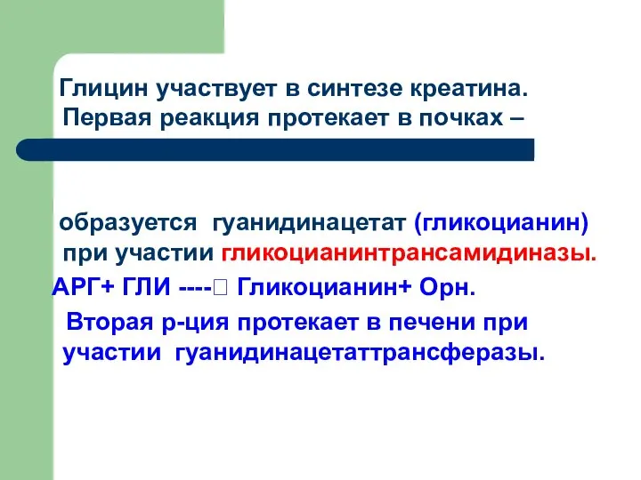 Глицин участвует в синтезе креатина. Первая реакция протекает в почках –