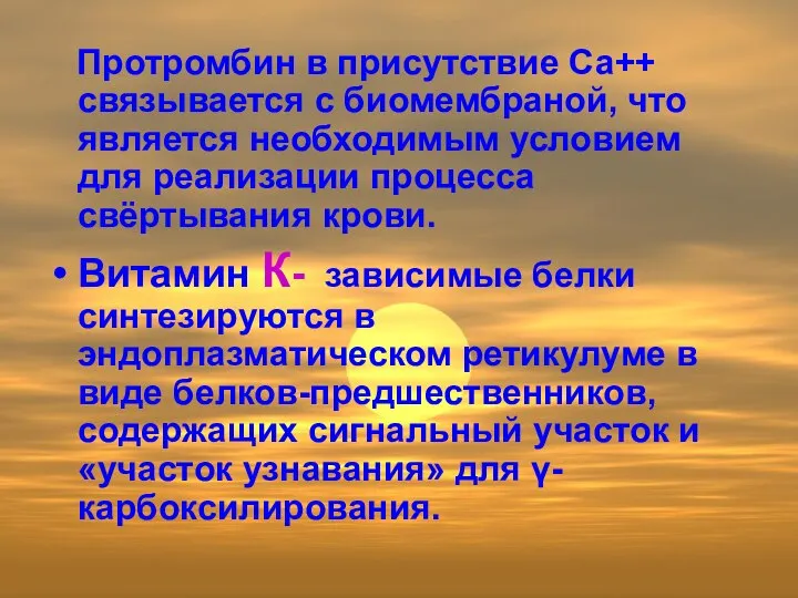 Протромбин в присутствие Са++ связывается с биомембраной, что является необходимым условием