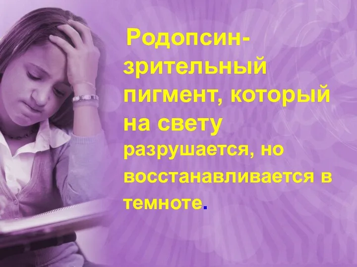 Родопсин-зрительный пигмент, который на свету разрушается, но восстанавливается в темноте.