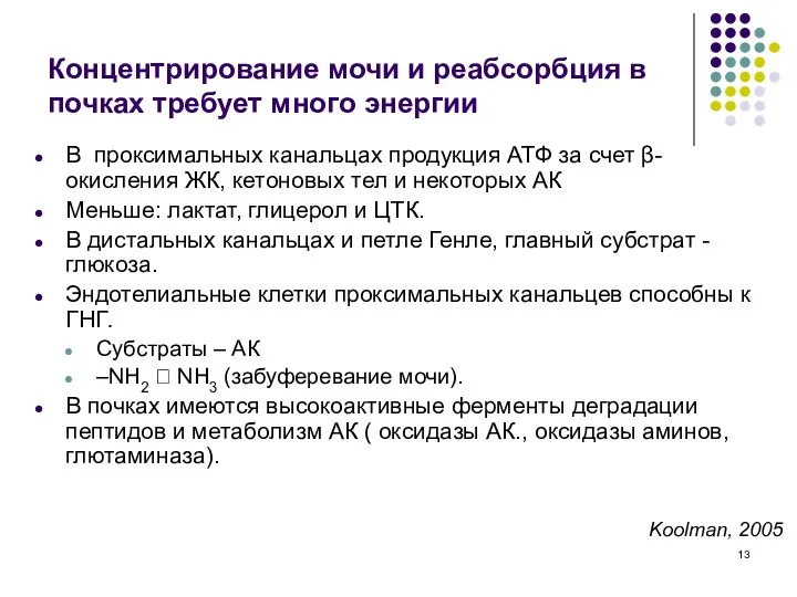 Концентрирование мочи и реабсорбция в почках требует много энергии В проксимальных